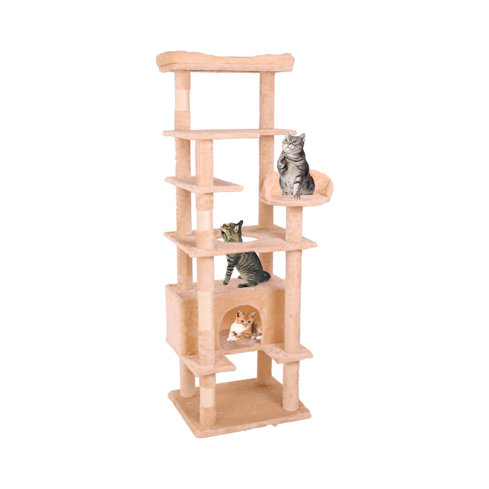 Cat Climbing Frame2 - Korvel