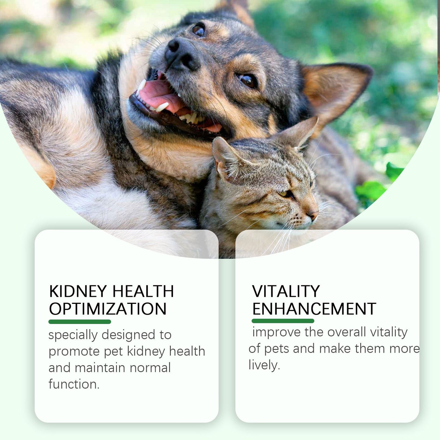 Premium Pet Care Supplement for Enhanced Vitality