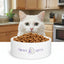 Tazón de Cerámica para Gatos Brave Epikitty