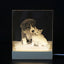 3D Image Internal Carving Laser Acrylic Bedhead Nightlight Plug in - Korvel