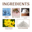 Bee Venom Joint Repair Drops Relieve Knee, Elbow And Wrist Soreness Massage Treatment Revitalize Joints - Korvel