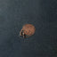 14k Rose Gold Diamond Cut Cable Link Chain - 0.7mm