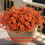 EcoBloom Outdoor Flower Set - Korvel