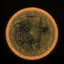 Particle Glow Proton Virus - PDGA Champions Cup 2025