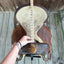 Selle Western Ammerman Trophy 14"