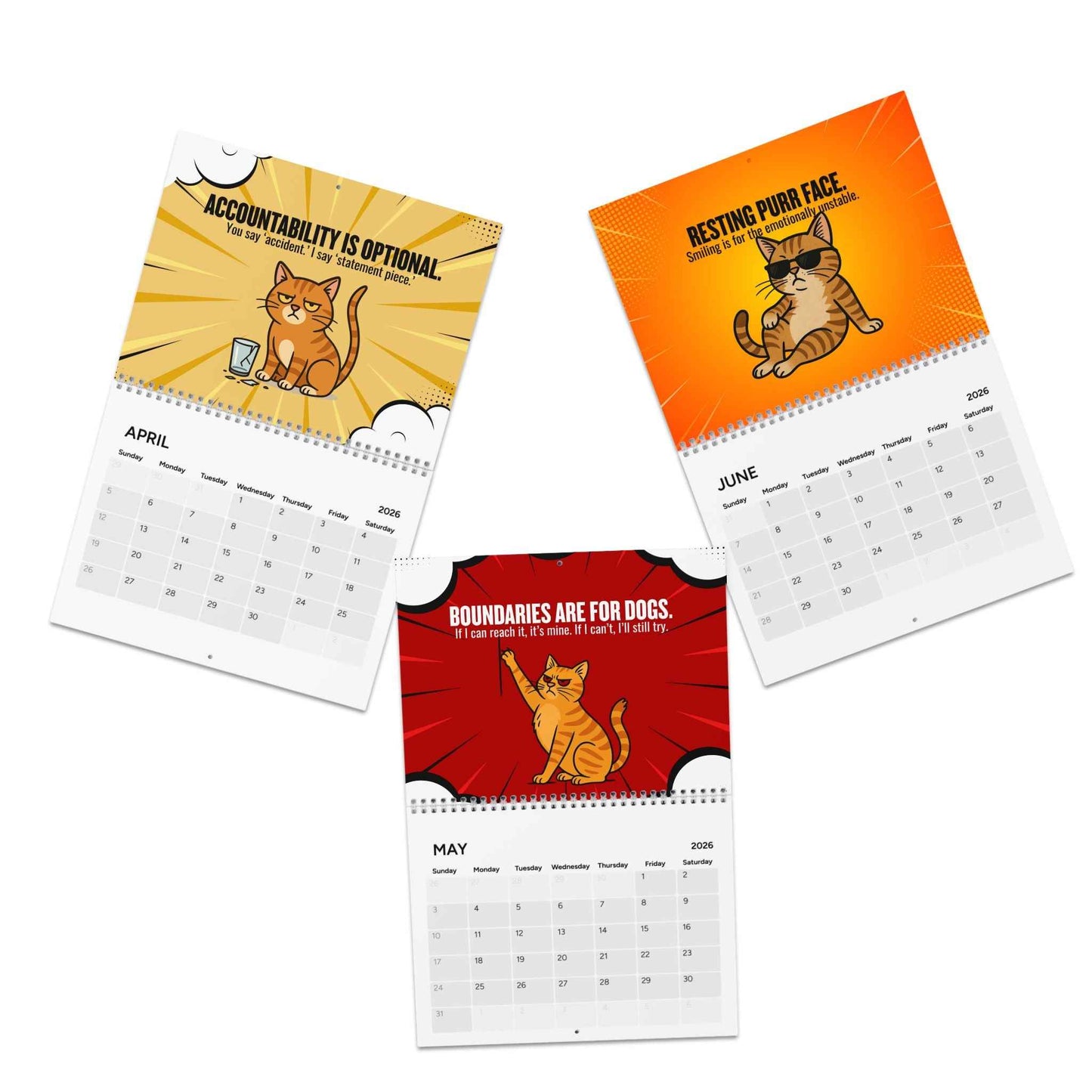 Catsplaining the Year – 2026 Funny Cat Calendar