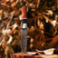 Premium Hunting Knife – 10" Hand-Forged J2 Steel Blade with Elegant Rosewood Handle & Leather Sheath - Korvel