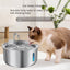 Distributeur d'eau pour animaux en acier inoxydable de 4L avec fenêtre de visualisation