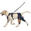 Pet Leg Support Dog Knee Brace Post-Surgery Rehabilitation Knee Support Joint Protection Bandage - Korvel