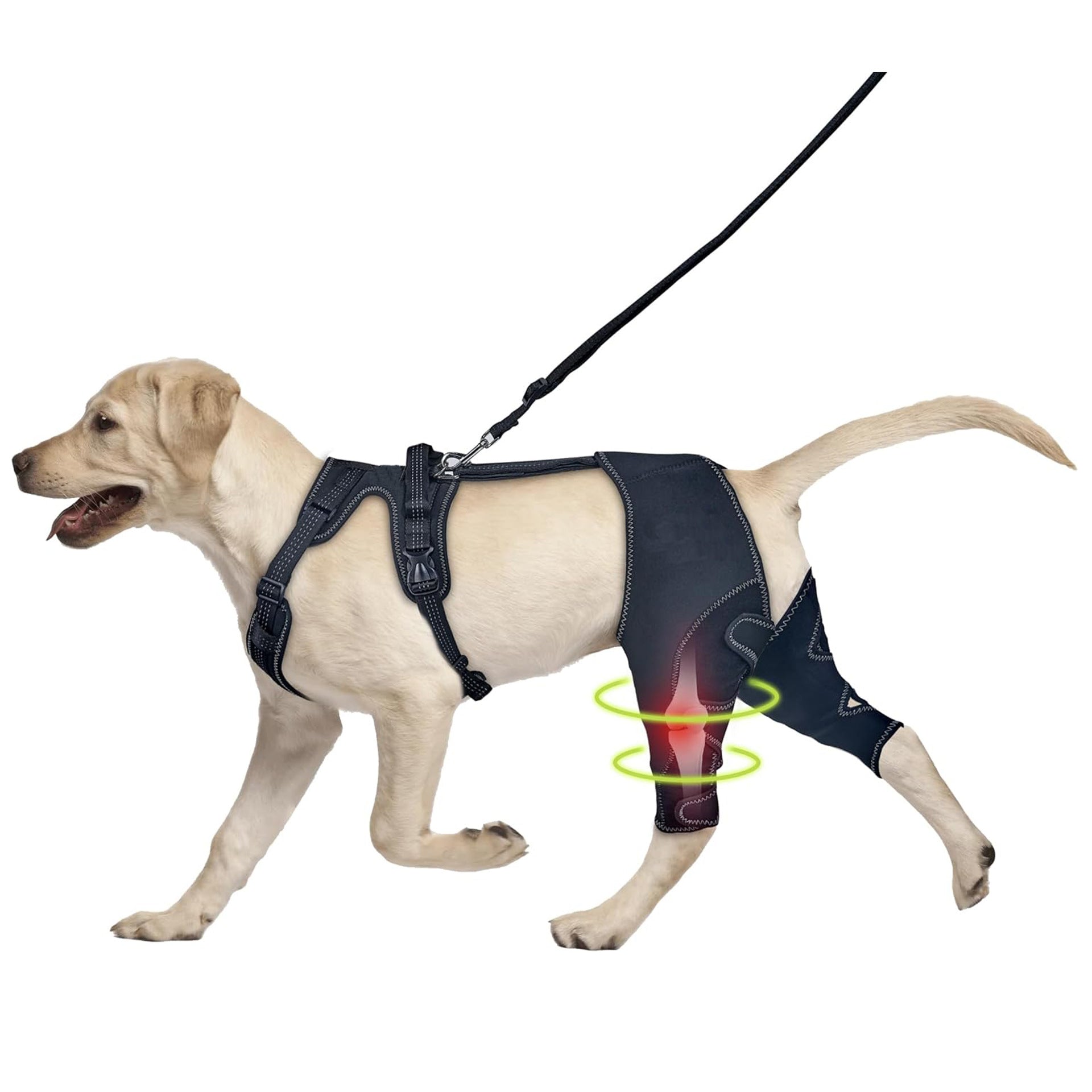 Pet Leg Support Dog Knee Brace Post-Surgery Rehabilitation Knee Support Joint Protection Bandage - Korvel