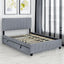 Queen Size Velvet Upholstered Platform Bed with 2 Drawers and 1 Twin XL Trundle- Gray - Korvel