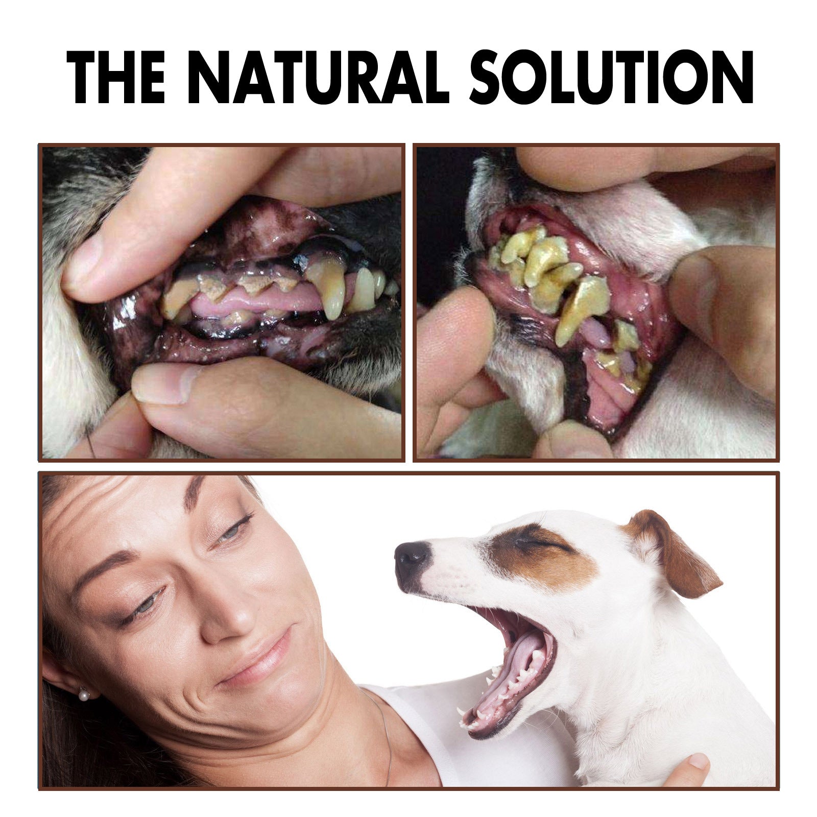 Pet Tooth Cleaning Spray, Cats And Dogs Removal Tartar Stains Bad Breath Oral Cleaning Spray - Korvel