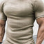 Men's Plus Size Textured Round Neck Contrast Trim T-Shirt