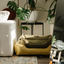 Lit pour chien en coton olive confort