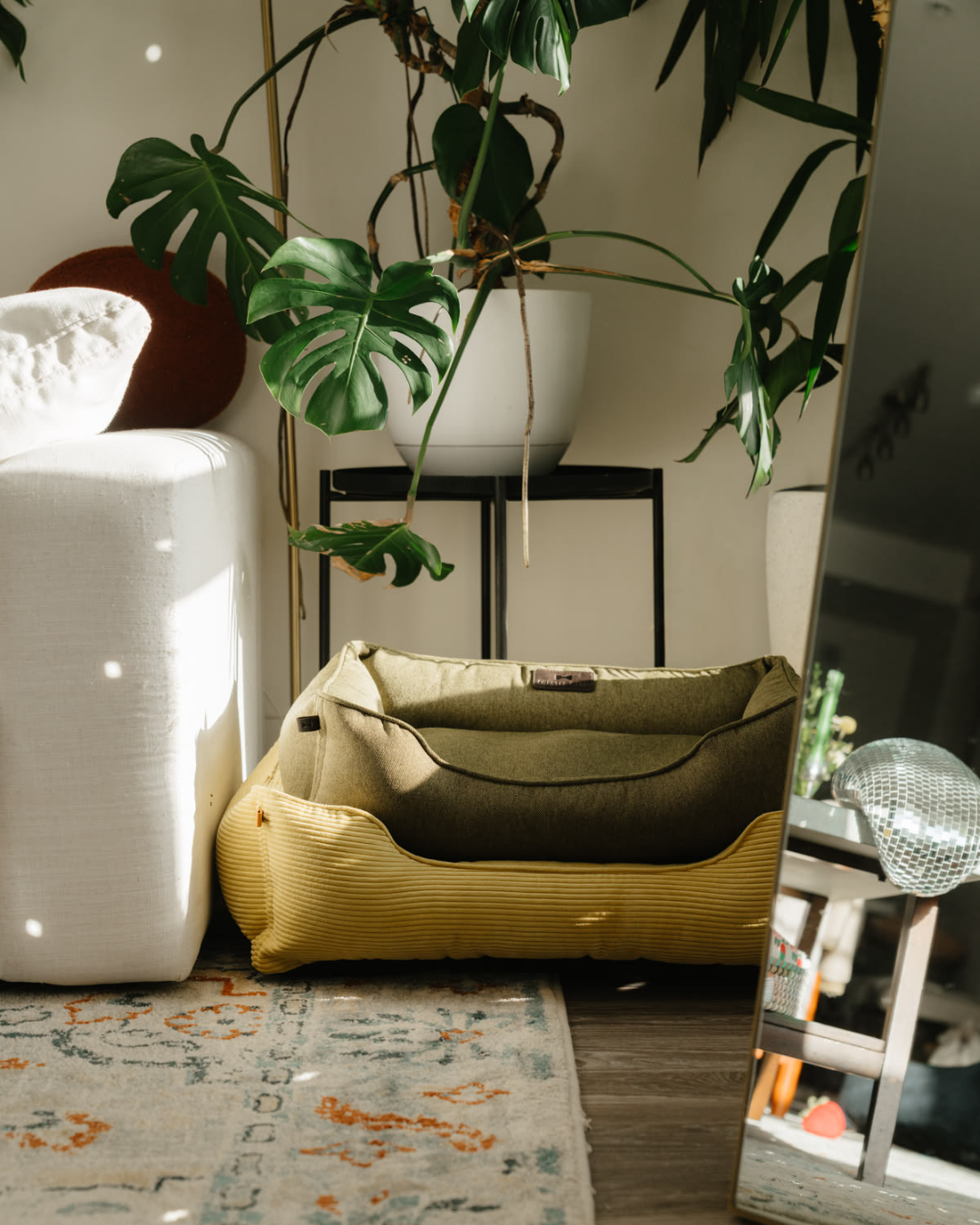 Lit pour chien en coton olive confort