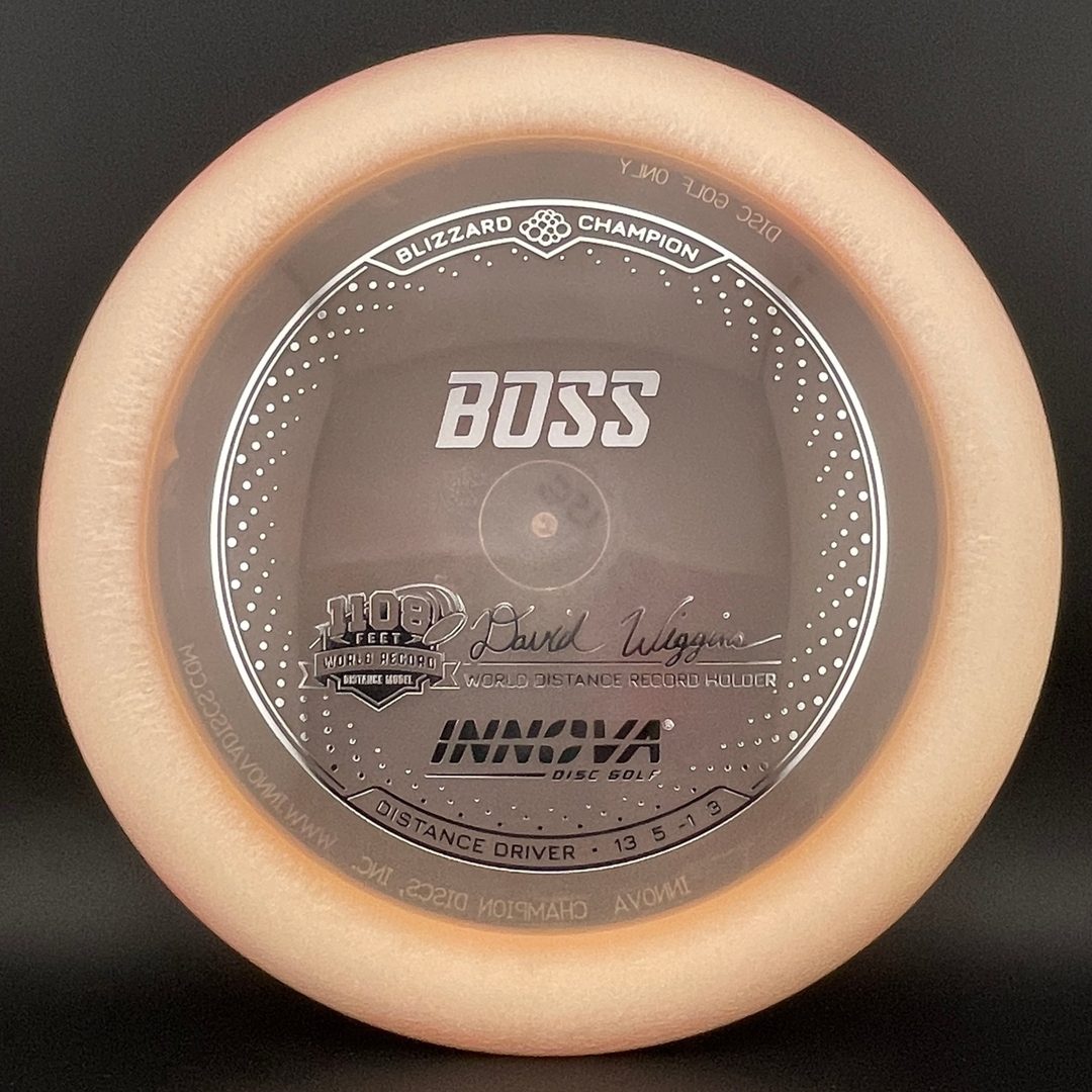 Blizzard Champion Boss - David Wiggins Jr World Record Disc