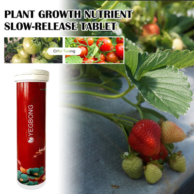 Sustained-Release Plant Nutrition Tablets for Optimal Growth