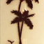 3D Coconut Tree Acrylic Mirror Wall Sticker For Children's Room Dining Room Living Room DIY TV Wall Background Home Decoration - Korvel