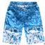 Quick Dry Printing Beach Jogger Shorts