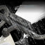 2600 Lumen Bicycle Lights Usb Charging Power Bank Aluminum Alloy Usb Bicycle Headlight Flashlight Waterproof Bike Accessories - Korvel