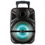 IQ Sound 12" Portable Bluetooth Speaker with True Wireless Technology