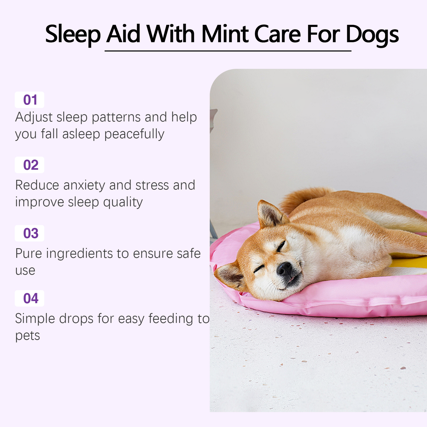 Premium Dog Sleep Drops for Restful Nights
