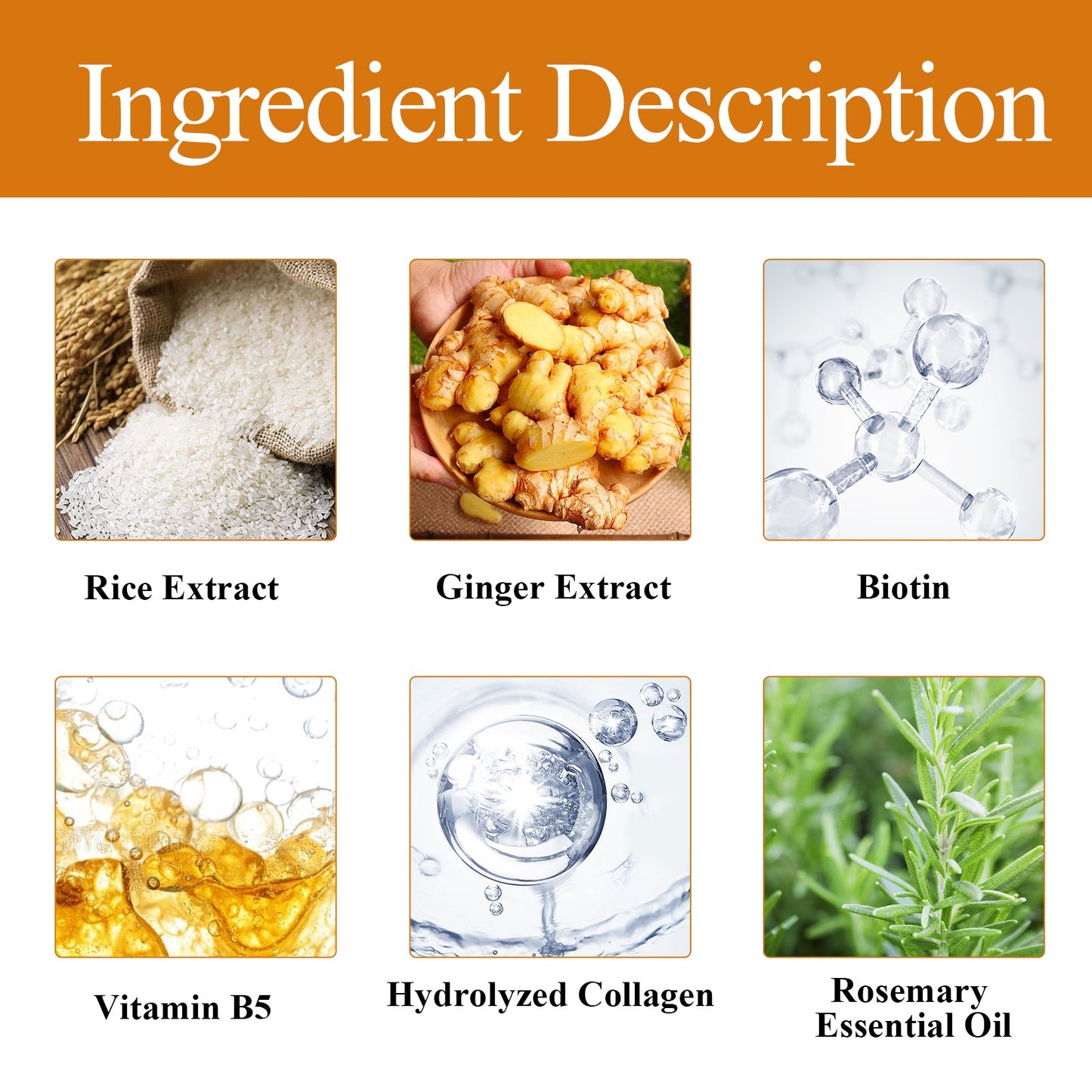 Rice Dense Hair Shampoo Deep Clean Thick Hair Moisturizing Hair Root Solid Hair Care Shampoo - Korvel