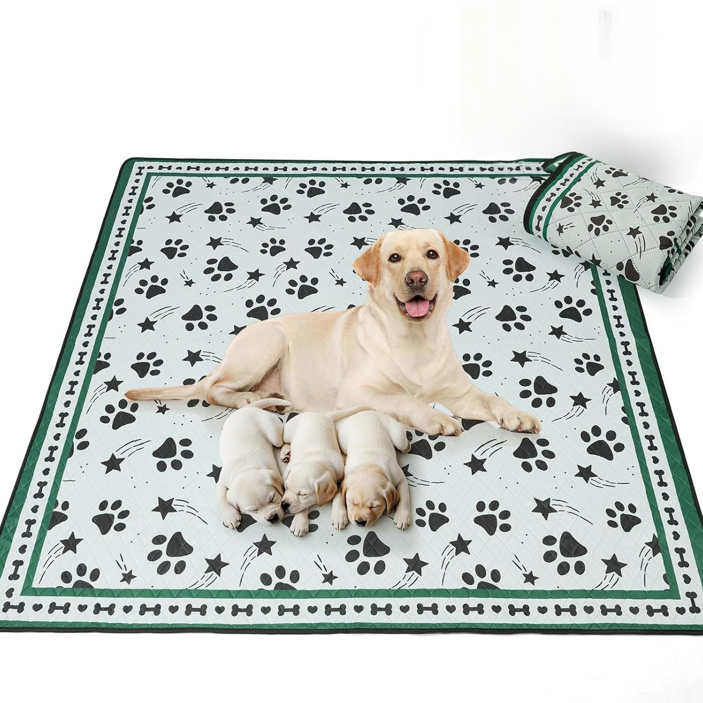 Scandinavian Minimalist Carpet Pet Mat, Stain-Resistant and Easy to Clean Sofa Coffee Table Mat, Urine-Proof Cat and Dog Pad - Korvel