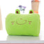 Animated Plush Nap Pillow & Hand Warmer for Kids