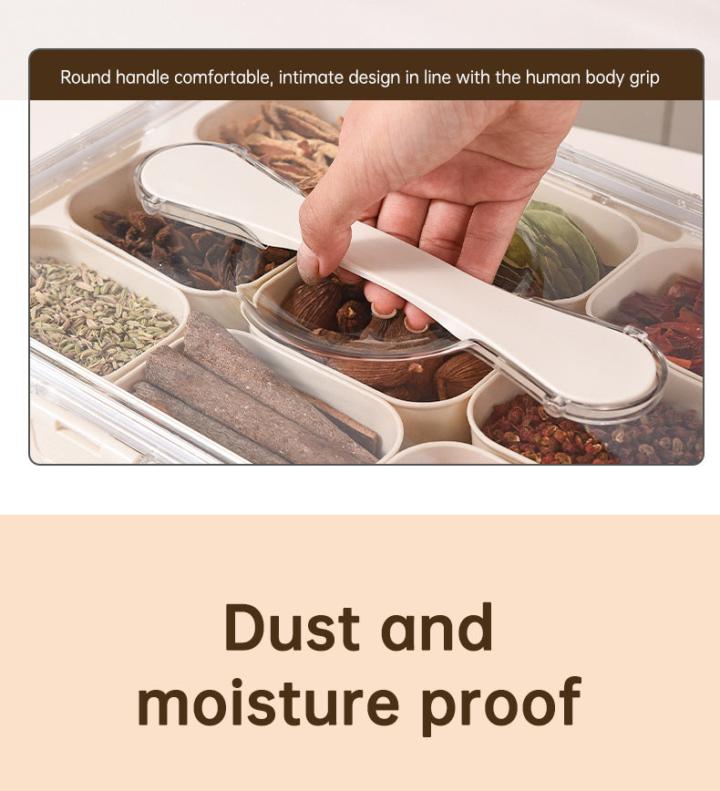 Design Sealed Snackle Storage Box With 9pcs Divider Plastic Divided Veggie Tray With Lid And Handle - Korvel