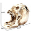Fang Fang Terror Face Skull Storage Pen Holder Office Desktop - Korvel