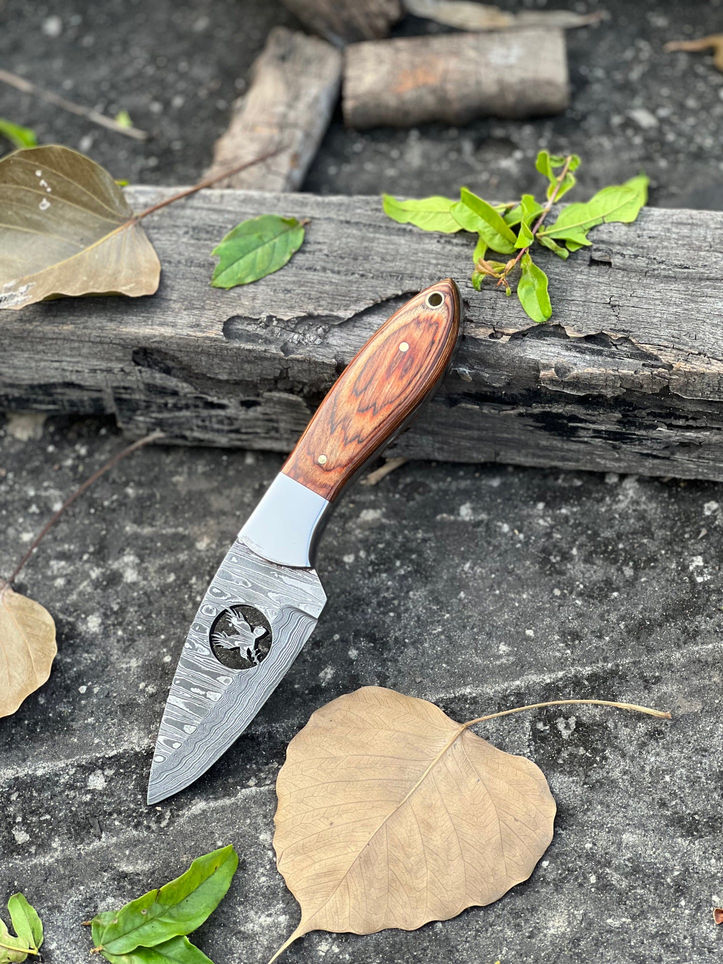 Premium 8" Damascus Steel Skinner Knife with Pakkawood Handle & Leather Sheath - Korvel