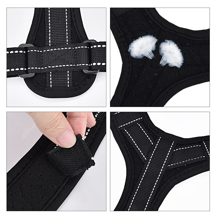 Premium Posture Corrector Back Support Belt - Sports Version