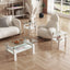 Set of 2 Modern Tempered Glass Coffee Tables