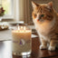 Brave Epikitty Soy Candle - Epileptic Cat Awareness