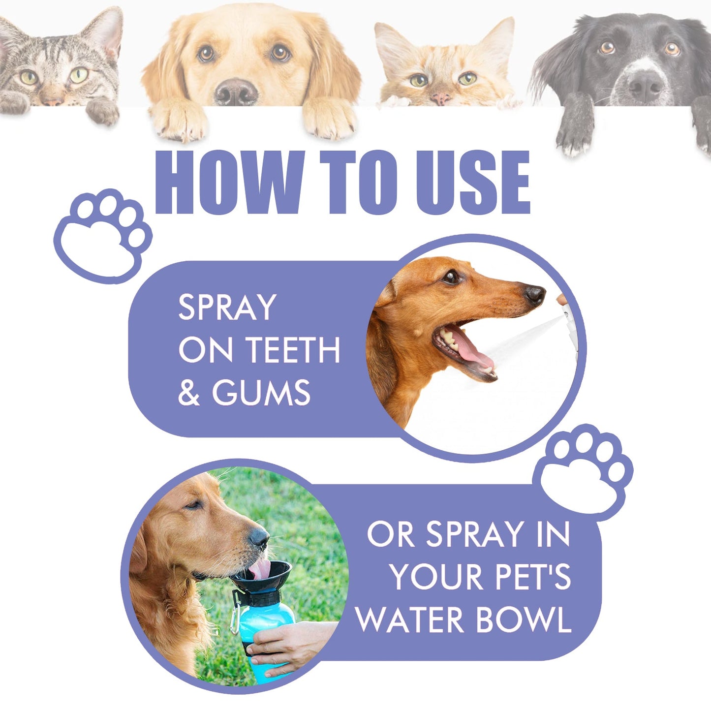 Tooth Cleaning Spray For Cats And Dogs, Remove Tooth Stains Fresh Breath Pets Oral Care Spray - Korvel