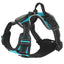 LED Light Up Dog Harness for Enhanced Safety