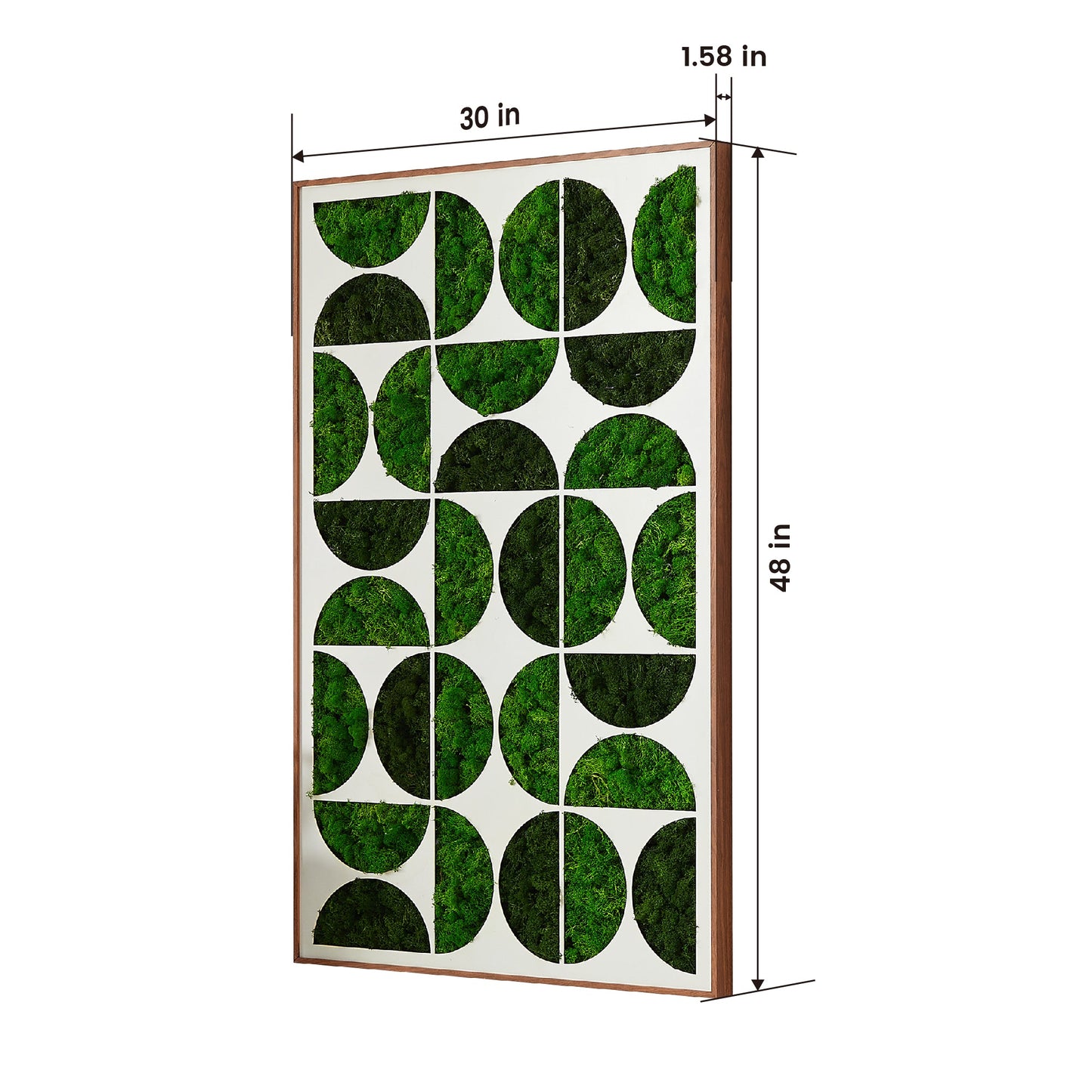 Moony Moss Wall Art Metal Decor