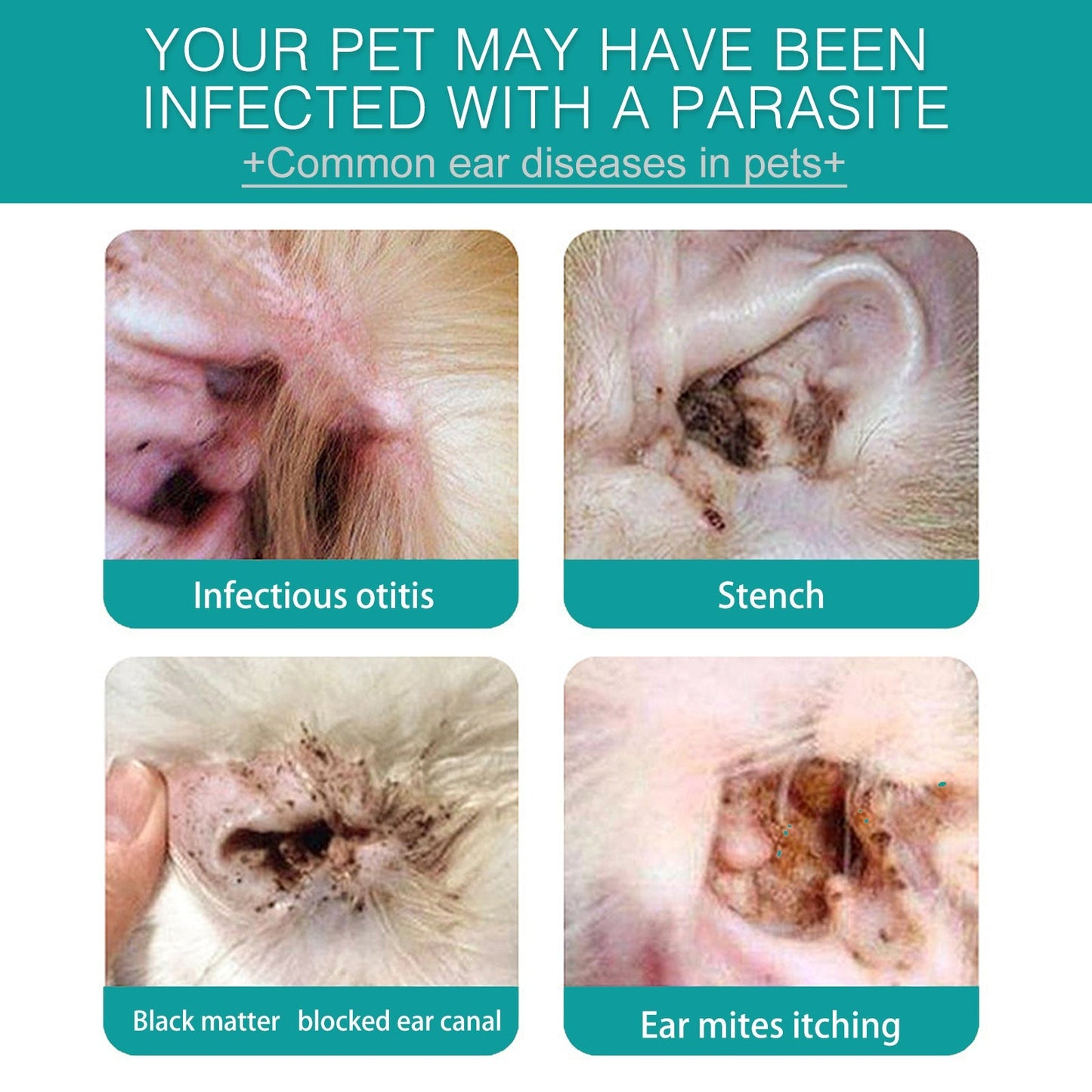 Pet Ear Cleaning Finger Sleeves for Cats and Dogs Ear Mite and Earwax Care Ear Canal Cleaning Finger Sleeves - Korvel