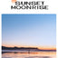 PITAKA is suitable for Apple 15promax magnetic sunset moonrise Kevlar floating aramid high-end magsafe carbon fiber mobile phone case - Korvel