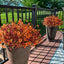 EcoBloom Outdoor Flower Set - Korvel