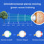 3d Moving Green Light Eye Protection Device Children'S Eye Massager Relives Eye Fatigue Vision Recovery Training Device - Korvel