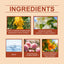 Autumn Perfume Citrus Flower Natural Fresh Light Fragrance Portable Lasting Fragrance Exudes Personal Charm Perfume - Korvel