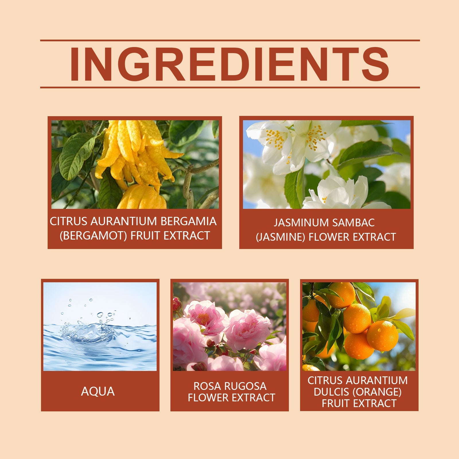 Autumn Perfume Citrus Flower Natural Fresh Light Fragrance Portable Lasting Fragrance Exudes Personal Charm Perfume - Korvel