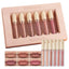 HANDAIYAN 6 Matte Rose Lip Gloss Set - Premium Gift Box