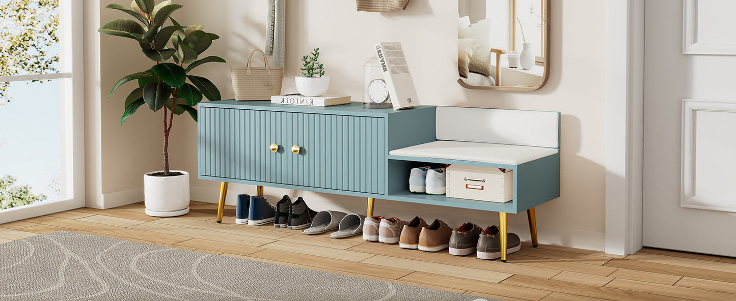 Modern Tiffany Blue Shoe Storage Bench with Cushions