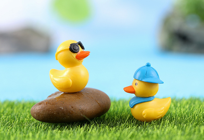 Bryophyte Miniature Landscapes, Succulent Plant Decorations, Doll Figurines, Travel Duck Souvenirs, DIY Material Kits - Korvel