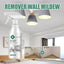 Wall Mold Remover, Furniture Tile Floor Wall Remove Mold And Prevent Mildew Cleanser - Korvel