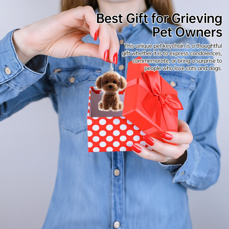 A transparent DIY pet hair memorial keychain box, a sweet keepsake for dog lovers. - Korvel
