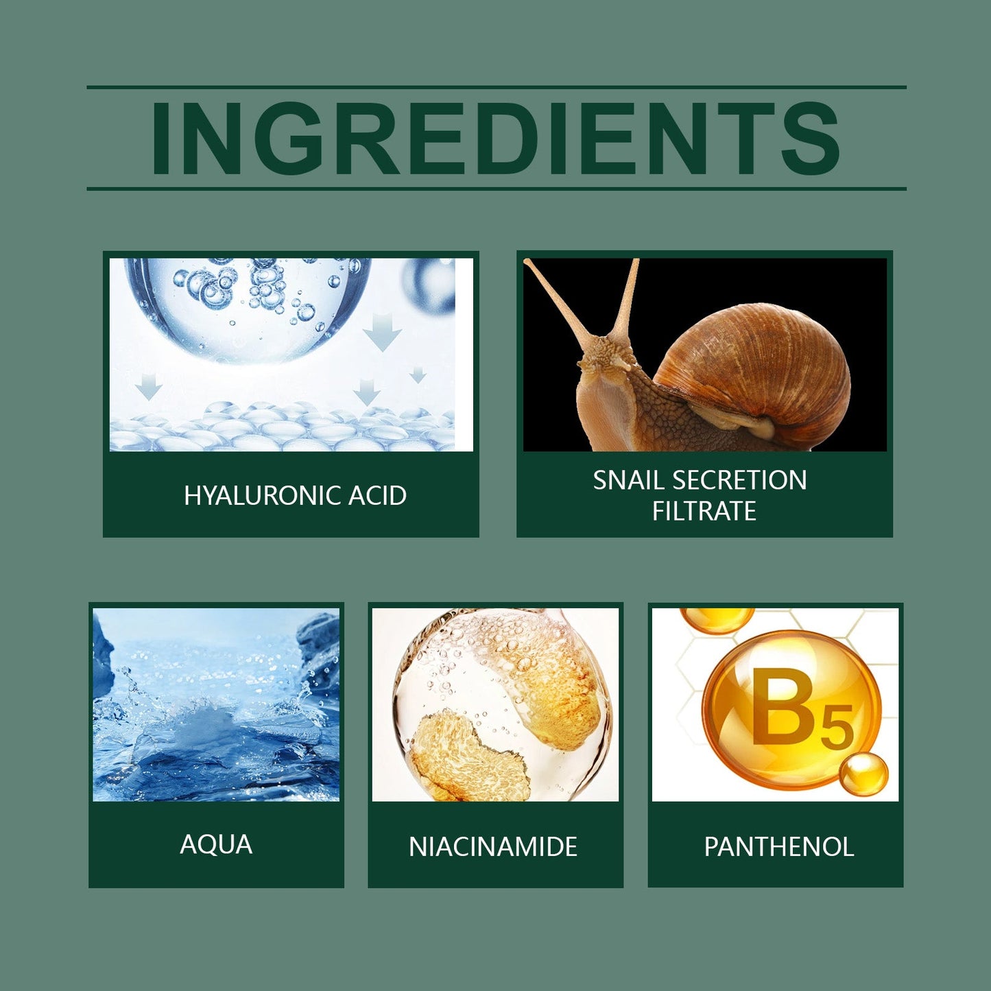 Snail Firming Serum Highly Hydrates, Removes Wrinkles And Delicate Skin Repair, Moisturizes And Rejuvenates Skin - Korvel